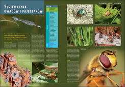 Ilustrowana encyklopedia owadów i pajęczaków Polski
